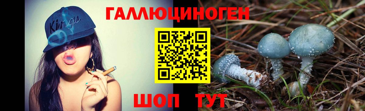 Псилоцибиновые грибы Magic Shrooms Альметьевск